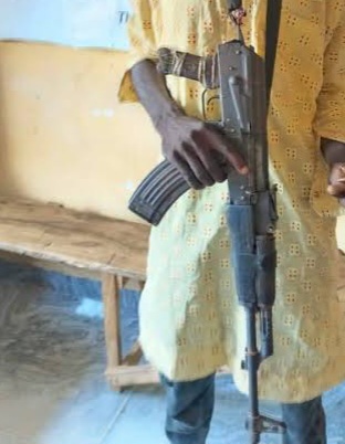 Adamawa police arrest man wielding AK-47 rifle in viral video